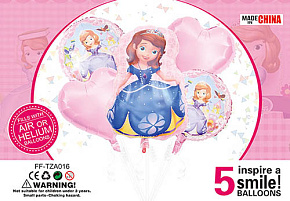 Набір кульок FF-TAZ016 "Маленька Принцеса" 5шт.